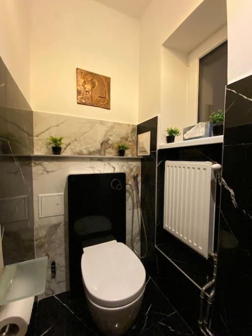Herrenhaus Hoeniger Flughafen 11min/wienmitte 12min Apartament